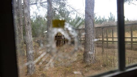 moselle crime scene photos|Murdaugh: Images of Moselle property, bullet holes。